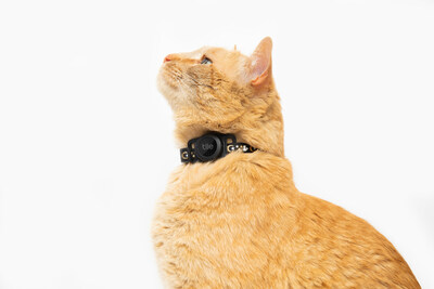Tile for Cats, Tile Sticker with a silicone collar attachment